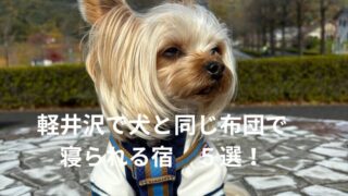 軽井沢で犬と同じ布団で寝られる宿